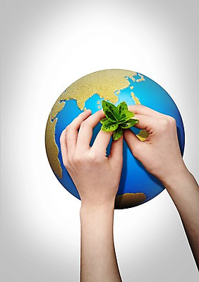 PSD 식물 편집이미지 손 지구 캠페인 잎 신체 자연 한명 사람 손짓 신체부위 지구본 새싹 자연보호 환경 그린캠페인 양손 풀 보호 원예 팔 가꾸기 식물키우기 이미지편집 1 컨셉 모션 취미 생태계 파일형식