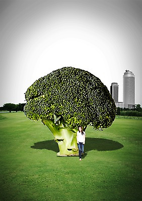 전신 PSD 외국인 나무 식물 편집이미지 건축물 공원 여자 건축 음식 채소 맨발 한명 서기 사람 동양인 빌딩 잔디 초원 성인 건물 캐주얼 초록색 청바지 풀 브로콜리 채식 여자만 여자한명만 성인여자만 성인만 이미지편집 1 옷 공공시설 컬러 바지 모션 발 인종 파일형식