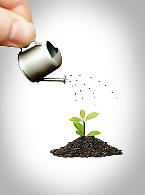 PSD 식물 편집이미지 손 신체 손가락 한손 물줄기 한명 들기 사람 신체부위 물 새싹 흙 물뿌리개 풀 물주기 원예 원예용품 이미지편집 자연요소 1 생활용품 모션 취미 파일형식