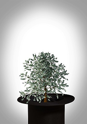 PSD 나무 식물 편집 편집이미지 모자 잡화 지폐 돈 비즈니스 한그루 사람없음 금융 경제 마술 나뭇가지 마술사모자 돈나무 마법사모자 이미지편집 모자_잡화 1 재산 파일형식