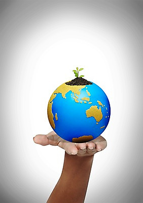 PSD 식물 편집이미지 손 지구 캠페인 신체 자연 한손 손바닥 한명 들기 사람 신체부위 지구본 새싹 자연보호 환경 그린캠페인 흙 풀 보호 이미지편집 1 컨셉 모션 생태계 파일형식