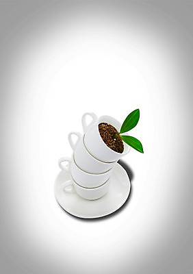 PSD 식물 편집이미지 잎 잔 사람없음 컵 쌓기 새싹 흙 풀 커피잔 찻잔 컵받침 이미지편집 식기 커피 모션 받침대 파일형식