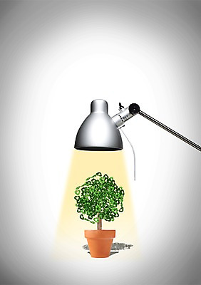 PSD 나무 편집이미지 기호 화분 캠페인 조명 사람없음 초록색 반사 3D 자연보호 그린캠페인 재활용 에너지 스탠드 편집3D 식물 문자 컬러 자연 보호 디지털합성 친환경 파일형식