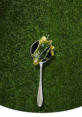 PSD 식물 편집이미지 잎 나뭇잎 수저 잔디 초원 사람없음 숟가락 풀 이미지편집 식기 파일형식