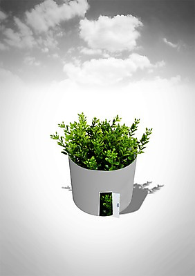 PSD 식물 구름 편집이미지 화분 잎 하늘 사람없음 3D 문 오픈 원통 편집3D 자연요소 디지털합성 파일형식