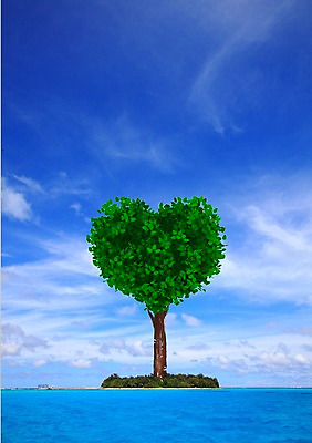 PSD 나무 구름 편집이미지 호수 바다 섬 잎 자연 하늘 나뭇잎 한그루 풍경 사람없음 물 강 하트 이미지편집 자연요소 모양 식물 1 생태계 파일형식