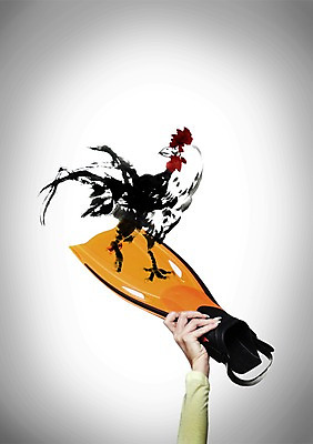 PSD 동물 편집이미지 척추동물 한마리 육지동물 손 신체 조류 레저용품 한손 한명 들기 사람 신체부위 도구 닭 오리발 수영용품 한짝 이미지편집 1 스포츠용품 모션 레저 수영 파일형식