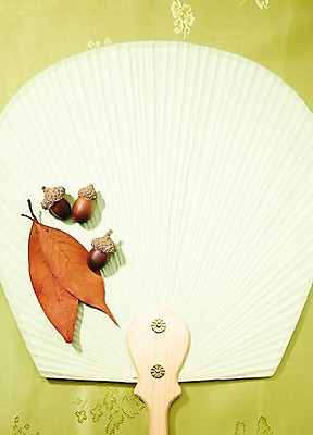 포토 JPG 스튜디오촬영 식물 한국문화 한국전통 전통 배너 전통문화 백그라운드 낙엽 잎 나뭇잎 안내 프레임 전통소품 한국 알림판 실내 사람없음 가을 부채 실크 천 알림 오브젝트 도토리 국내포토 동양문화 계절 아시아 문화 내부 견과류 직물 파일형식