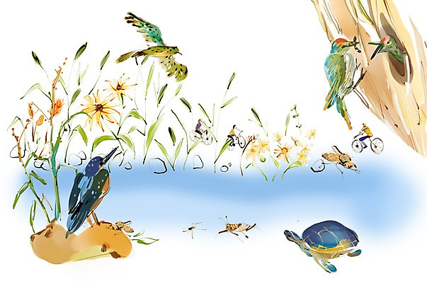 PSD 나무 식물 동물 여자 남자 길 여유 육상교통 교통수단 여행 이동 일러스트 파충류 조류 휴식 사람 여러명 자전거 풀 거북이 자전거여행 자전거길 바위늪구비 국내일러스트 감정 다수 교통 컨셉 바이크 파일형식