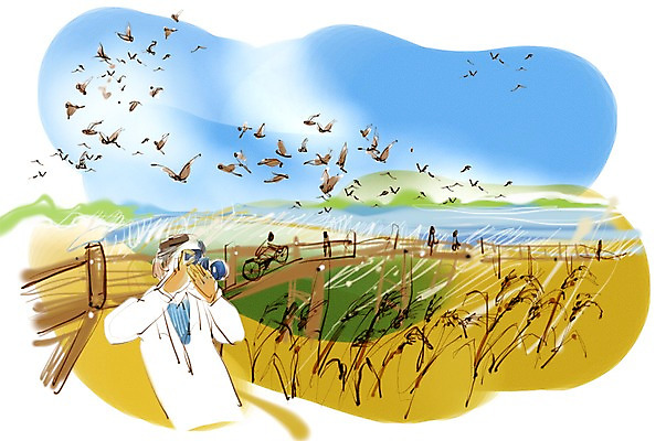 PSD 식물 동물 남자 길 여유 육상교통 교통수단 여행 이동 일러스트 조류 휴식 한명 사람 카메라 자전거 사진촬영 사진사 갈대밭 자전거여행 자전거길 남자만 남자한명만 국내일러스트 1 감정 교통 컨셉 전자제품 바이크 촬영 작가 파일형식 갈대_식물