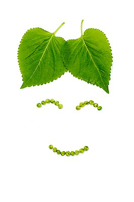 포토 JPG 스튜디오촬영 행복 음식 백그라운드 컨셉 채소 재료 콩 실내 표정 미소 웃음 사람없음 머리 기쁨 입 완두콩 깻잎 안구 국내포토 감정 곡류 내부 신체부위 파일형식