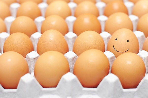 포토 JPG 스튜디오촬영 행복 음식 백그라운드 컨셉 재료 실내 표정 미소 웃음 근접촬영 사람없음 아웃포커스 계란 알 여러개 기쁨 입 판 한판 안구 국내포토 1 감정 뷰포인트 다수 촬영기법 내부 신체부위 파일형식