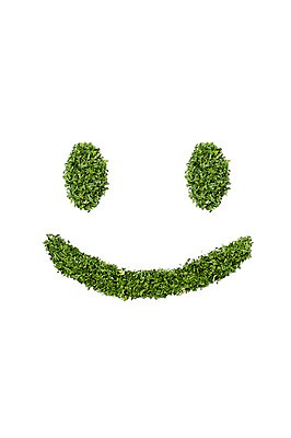 포토 JPG 스튜디오촬영 행복 음식 백그라운드 컨셉 채소 재료 실내 파슬리 표정 미소 웃음 사람없음 기쁨 입 안구 국내포토 감정 내부 신체부위 파일형식