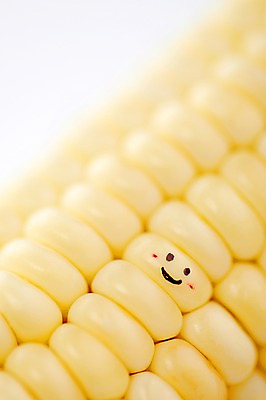 포토 JPG 스튜디오촬영 행복 음식 백그라운드 컨셉 채소 실내 표정 옥수수 미소 웃음 근접촬영 사람없음 아웃포커스 계란 알 기쁨 입 낟알 안구 국내포토 감정 뷰포인트 곡류 촬영기법 내부 신체부위 파일형식