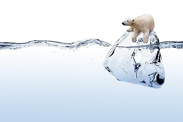 PSD 동물 편집 편집이미지 캠페인 곰 포유류 사람없음 물 얼음 손상 물방울 북극 북극곰 물방울백그라운드 오존층 이미지편집 자연요소 백그라운드 컨셉 극지방 파일형식