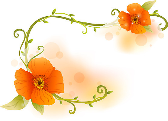 식물 배너 꽃 백그라운드 무늬 꽃무늬 꽃백그라운드 일러스트 자연 안내 프레임 틀 사람없음 알림 국내일러스트 AI파일 생태계 파일형식 벡터