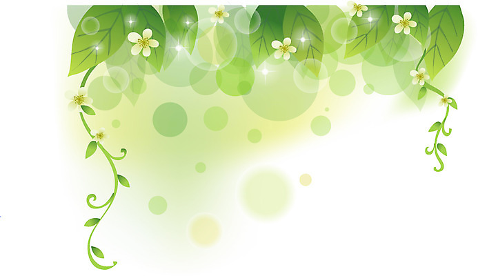 식물 배너 컬러 백그라운드 잎 무늬 일러스트 자연 나뭇잎 안내 프레임 틀 사람없음 초록색 알림 국내일러스트 AI파일 생태계 파일형식 벡터