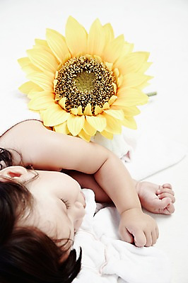 포토 JPG 스튜디오촬영 외국인 식물 해외기획촬영 라이프스타일 2012년태국 여자 꽃 어린이라이프 한송이 해바라기 실내 한명 사람 상반신 눕기 눈감음 아기 잠 여자만 여자한명만 아기만 여자아기만 여자아기한명만 국내포토 1 어린이 모션 인종 내부 생활 송이 파일형식