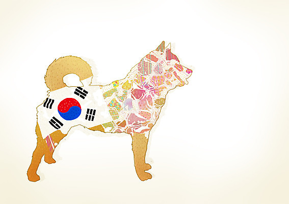 PSD 동물 척추동물 한마리 육지동물 반려견 상징 생각 무늬 일러스트 포유류 상상 한국 사람없음 반려동물 판타지 개 강아지 국기 태극기 심볼 태극 충성 진돗개 복종 토종개 국내일러스트 1 문양 아시아 파일형식