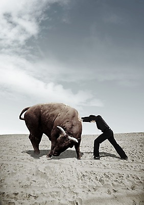 주간 전신 PSD 동물 구름 편집이미지 한마리 라이프스타일 남자 비즈니스 하늘 한명 서기 사람 동양인 20대 성인 야외 옆모습 비즈니스라이프 모래사장 마주보기 경쟁 한국인 직장인 비즈니스맨 소 밀기 황소 싸움 승부 남자만 남자한명만 성인남자만 청년만 청년남자만 청년남자한명만 성인한명만 성인남자한명만 성인만 이미지편집 자연요소 직업 1 바다 뷰포인트 컨셉 포유류 모션 인종 청년 생활 파일형식