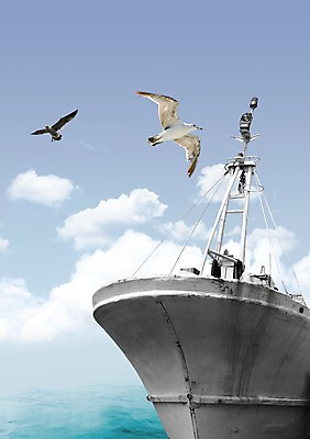 주간 PSD 동물 구름 편집이미지 교통수단 바다 수상교통 두마리 자연 갈매기 조류 하늘 풍경 사람없음 야외 한척 선박 이미지편집 자연요소 1 교통 2 생태계 파일형식