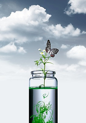 주간 모양 PSD 식물 동물 구름 편집이미지 한마리 꽃 캠페인 나비 곤충 자연 하늘 유리병 사람없음 야외 초록색 물 자연보호 환경 그린캠페인 물감 흐름 액체 환경오염 오염 보호 병 물병 환경보전 번짐 이미지편집 자연요소 1 식기 컬러 컨셉 병_용기 미술도구 사회이슈 물통 생태계 파일형식 효과