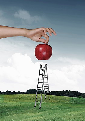 주간 PSD 나무 식물 구름 편집이미지 손 공원 음식 신체 과일 사다리 하늘 한명 들기 사람 잔디 야외 신체부위 빨간색 사과 이미지편집 자연요소 1 공공시설 컬러 모션 도구 파일형식