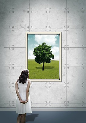 PSD 나무 식물 편집이미지 우먼라이프 라이프스타일 긴머리 원피스 여자 여유 벽 창문 휴식 한명 서기 사람 동양인 초원 성인 뒷모습 한국인 뒷짐 여자만 여자한명만 성인여자만 성인만 이미지편집 1 헤어스타일 옷 감정 뷰포인트 컨셉 모션 인종 생활 파일형식