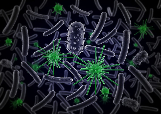 모양 PSD 편집이미지 의학 세포 사람없음 그래픽 치료 3D소스 3D 조직 바이러스 확대 질병 분석 입체 감염 미생물 박테리아 편집소스 편집3D 컨셉 생물 디지털합성 파일형식