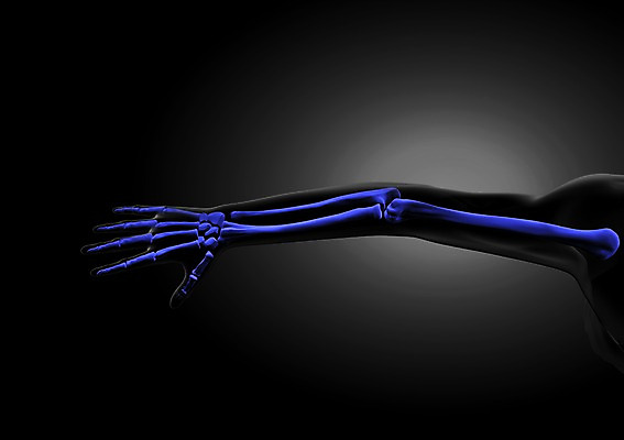 PSD 편집이미지 손 손가락 의학 인체모형 투시 뼈 사람없음 신체부위 그래픽 치료 3D소스 3D 근골격기관 분석 입체 팔 편집소스 편집3D 컨셉 사람 모형 장기_의학 디지털합성 파일형식