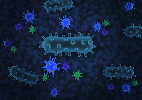 모양 PSD 편집이미지 의학 세포 사람없음 그래픽 치료 3D소스 3D 조직 바이러스 확대 질병 분석 입체 감염 미생물 박테리아 편집소스 편집3D 컨셉 생물 디지털합성 파일형식