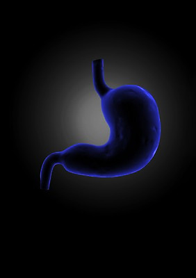 PSD 편집이미지 해부 의학 인체모형 투시 사람없음 신체부위 그래픽 치료 3D소스 3D 내장 소화기관 장기 분석 입체 위장 편집소스 편집3D 컨셉 신체 사람 모형 장기_의학 디지털합성 파일형식