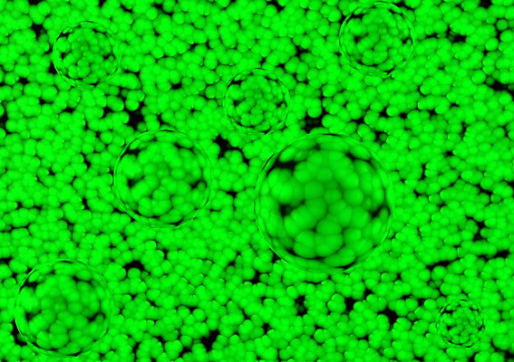 모양 PSD 편집이미지 의학 세포 사람없음 그래픽 치료 초록색 3D소스 3D 조직 바이러스 확대 질병 분석 입체 감염 미생물 박테리아 형광색 편집소스 편집3D 컬러 컨셉 생물 디지털합성 파일형식