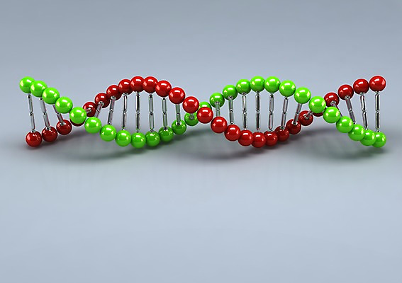 모양 PSD 편집이미지 의학 세포 나선형 사람없음 그래픽 치료 3D소스 3D 조직 DNA 분석 입체 미생물 염색체 편집소스 편집3D 컨셉 무늬 생물 생명공학 디지털합성 파일형식