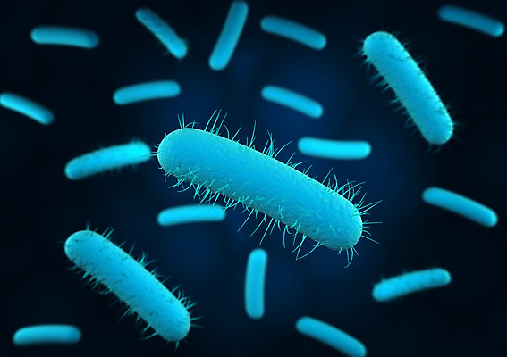 모양 PSD 편집이미지 하늘색 의학 세포 사람없음 그래픽 치료 3D소스 3D 조직 바이러스 확대 질병 분석 입체 감염 미생물 박테리아 타원형 둥근모양 편집소스 편집3D 컨셉 생물 파란색 원형 디지털합성 파일형식