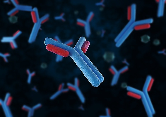 모양 PSD 편집이미지 의학 세포 사람없음 그래픽 치료 빨간색 파란색 3D소스 3D 조직 바이러스 확대 질병 분석 입체 감염 미생물 박테리아 편집소스 편집3D 컬러 컨셉 생물 디지털합성 파일형식