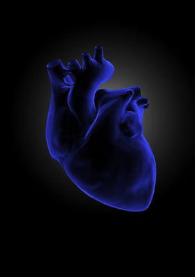 PSD 편집이미지 해부 의학 인체모형 투시 사람없음 신체부위 그래픽 치료 3D소스 3D 심장 장기 분석 입체 순환기관 편집소스 편집3D 컨셉 신체 사람 모형 장기_의학 디지털합성 파일형식