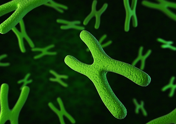 모양 PSD 편집이미지 의학 세포 사람없음 그래픽 치료 연두색 3D소스 3D 조직 바이러스 확대 질병 분석 입체 감염 미생물 염색체 박테리아 편집소스 편집3D 컨셉 생물 초록색 생명공학 디지털합성 파일형식