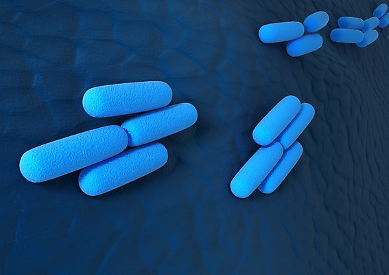 PSD 편집이미지 하늘색 의학 세포 사람없음 그래픽 치료 3D소스 3D 조직 혈액 바이러스 확대 질병 분석 입체 순환기관 감염 미생물 적혈구 혈구 박테리아 편집소스 편집3D 컨셉 생물 파란색 장기_의학 디지털합성 혈관 파일형식
