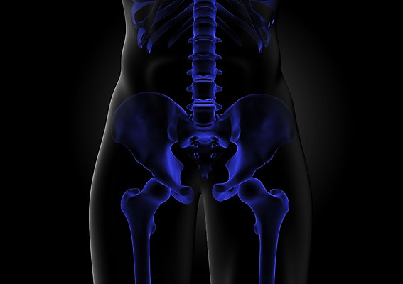 PSD 편집이미지 해부 의학 인체모형 투시 뼈 골격 사람없음 신체부위 그래픽 치료 3D소스 3D 엉덩이 분석 입체 골반 엉덩이뼈 골반뼈 편집소스 편집3D 컨셉 사람 모형 디지털합성 파일형식