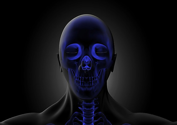 PSD 편집이미지 해부 의학 인체모형 투시 뼈 해골 골격 상반신 사람없음 신체부위 그래픽 치료 머리 3D소스 3D 치아 분석 입체 두뇌 코 귀 두상 안구 편집소스 편집3D 컨셉 사람 모형 소화기관 디지털합성 뇌 파일형식