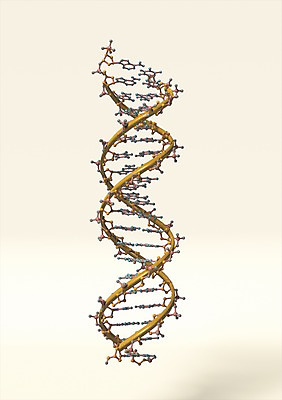 PSD 편집이미지 과학 무늬 의학 세포 나선형 실험 사람없음 그래픽 치료 3D소스 3D 과학기술 관찰 네트워크 화학 DNA 생명공학 연결 결합 분석 입체 원자 염색체 과학교육 구성원소 이중나선 편집소스 편집3D 교육 컨셉 모션 기술 원소 디지털합성 파일형식