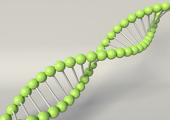PSD 편집이미지 과학 무늬 의학 세포 나선형 실험 사람없음 그래픽 치료 3D소스 3D 과학기술 관찰 네트워크 화학 DNA 생명공학 연결 결합 분석 입체 원자 염색체 과학교육 구성원소 이중나선 편집소스 편집3D 교육 컨셉 모션 기술 원소 디지털합성 파일형식