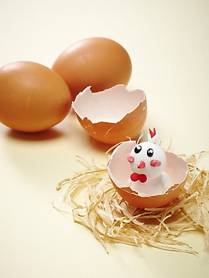 포토 JPG 스튜디오촬영 동물 척추동물 캐릭터 한마리 인형 동물캐릭터 조류 실내 사람없음 장난감 귀여움 십이지신 닭 오브젝트 공예품 점토 점토공예 클레이아트 동물인형 암탉 국내포토 1 컨셉 내부 암컷 공예 파일형식