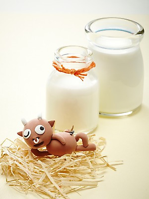 포토 JPG 스튜디오촬영 식물 동물 캐릭터 한마리 음료 인형 동물캐릭터 포즈 포유류 유리병 실내 윙크 사람없음 눕기 장난감 귀여움 우유 십이지신 소 볏짚 병 오브젝트 공예품 점토 파리_곤충 점토공예 고삐 클레이아트 동물인형 국내포토 1 식기 곤충 컨셉 모션 병_용기 유제품 표정 내부 짚 공예 파일형식