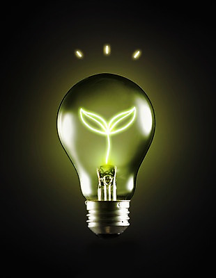 PSD 식물 편집이미지 캠페인 전구 페인팅 전등 사람없음 초록색 빛 새싹 자연보호 환경 그린캠페인 에너지 광선 절약 그린에너지 에코 에너지절약 라이트페인팅 전기절약 이미지편집 컬러 컨셉 자연 조명 보호 파일형식