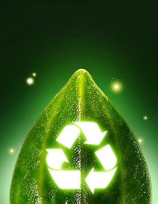 PSD 식물 편집이미지 기호 캠페인 잎 페인팅 사람없음 초록색 빛 자연보호 환경 그린캠페인 재활용 광선 풀 심볼 에코 분리수거 라이트페인팅 이미지편집 문자 컬러 자연 보호 친환경 파일형식