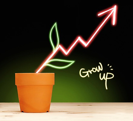 PSD 식물 편집이미지 알파벳 영어 화살표 화분 화초 비즈니스 페인팅 통계 수치 그래프 사람없음 단어 빛 새싹 성장 광선 풀 방향 상승 꺾은선그래프 라이트페인팅 이미지편집 문자 컨셉 파일형식