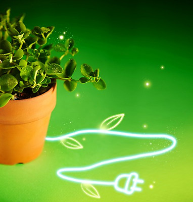 PSD 식물 편집이미지 화분 화초 캠페인 잎 페인팅 사람없음 초록색 빛 자연보호 환경 그린캠페인 에너지 광선 절약 풀 그린에너지 플러그 전기에너지 에코 에너지절약 라이트페인팅 이미지편집 컬러 컨셉 자연 보호 파일형식