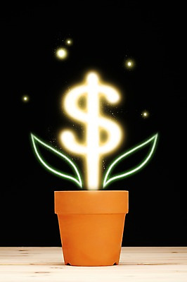 PSD 식물 편집이미지 기호 꽃 화분 화초 비즈니스 페인팅 사람없음 금융 경제 빛 달러 광선 화폐기호 라이트페인팅 이미지편집 문자 돈 화폐 파일형식